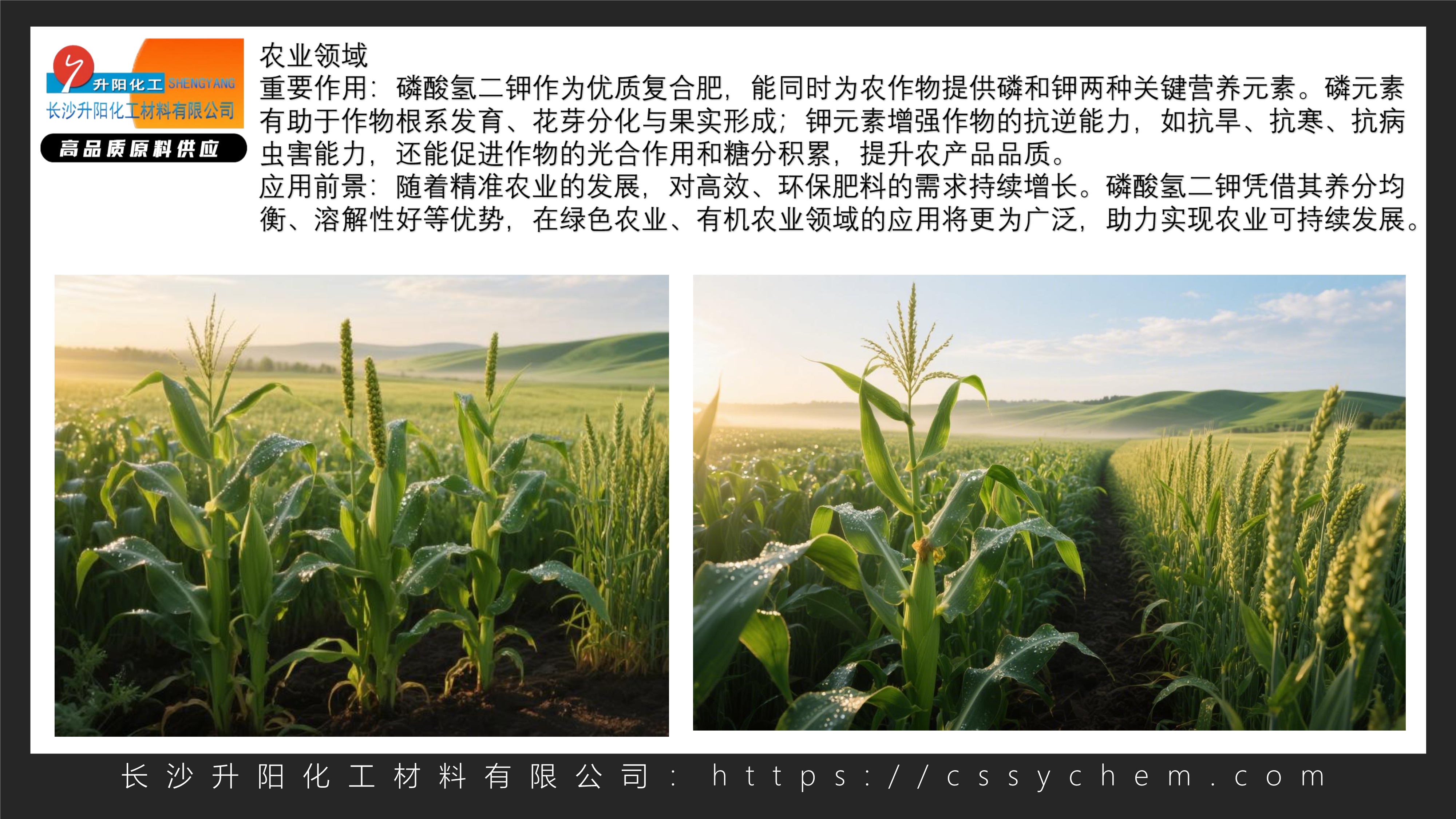 磷酸氫二鉀_image2_out.jpg